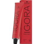 Schwarzkopf Professional Hair colours Igora Royal CoolsPermanent Color Cream 6- 23 Dark Blonde Ash Matte 60 ml