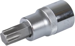 Bitspipe 1/2" T55 mm Torx 