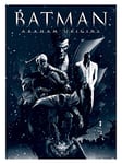 Batman Arkham Origins (Montage) 40 x 50 cm Toile Imprimée