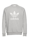 Adicolor Classics Trefoil Crewneck Sweatshirt Sport Sweat-shirts & Hoodies Sweat-shirts Grey Adidas Originals