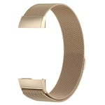 Beilaishi Stainless Steel Magnet Wrist Strap for FITBIT Charge 4， Large Size: 210x18mm(Black) replacement watchbands (Color : Champagne Gold)