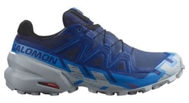 Chaussures de trail salomon speedcross 6 gore tex bleu gris