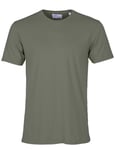 Colorful Standard Organic Cotton Tee - Dusty Olive Colour: Dusty Olive, Size: Small