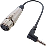 Keepdrum MC-025XJ Câble audio XLR 0,3 m – Mini jack TRS 3,5 mm pour caméra DV et câble microphone