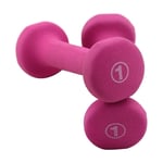 LILIS Weight Bench Adjustable Dumbbells Light Weight fitness, Cast Iron Coded Hand Weights Dumbbell for Home Gym Exercise Barbell Set (Color : 1LB*2)