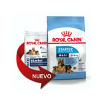 Nourriture que Royal Canin Maxi Starter Puppies taille taille grande (jusqu'љ 2 mois) et mЏres enceintes - 15kg