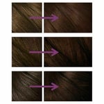 Clairol Nice 'n Easy Semi-Permanent Hair Dye - No Ammonia - 82 - Dark Warm Brown