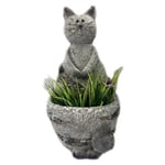 Dynäs Katarina Katt Kruka Grå