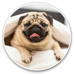 2 x Vinyl Stickers 15cm - Funny Tan Pug Dog in Bed Cool Gift #15987