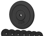 G5 HT SPORT Cast Iron Discs Diameter 25 mm Hole for Gym and Home Gym from 0.5 to 20 kg for Dumbbells and Barbells (1 x 2 kg)