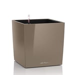 Lechuza – Pot de Fleurs d'Interieur – Premium Cube – Réserve d'Eau Intégrée – Coloris Taupe – 30 x 30 x 30 cm