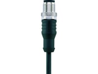 Escha 8046927 Givare, Ställdonskontakt, M12 Kontakt, Rak 5,00 M Antal Poler (Rj): 12 1 St