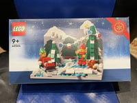 NEW LIMITED EDITION VIP EXCLUSIVE LEGO 40564 WINTER ELVES SCENE CHRISTMAS SEALED