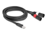 Delock - Nätverkskabel - Rj-45 (Hane) Kontakt Till Xlr3 (Hane) Kontakt - 2 M - 6 Mm - Skärmad - Cat 5 - Svart