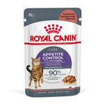 Royal Canin Appetite Control Care kastikkeessa - 96 x 85 g