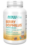 Now Foods BerryDophilus Kids (probiotic for children) 120 tablets