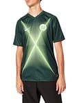 Nike Men Vflw M Nk BRT Stad JSY Ss HM Football T-Shirt - Pro Green/Green Strike/(White) (No Sponsor), X-Large