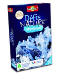 BIOVIVA Minéraux Animal Défis Nature Pariez sur les points forts gagner la bataille-Jeu de Cartes-2 à 6 Joueurs-7 ans-Fabriqué en France, 280198, Multicolor, 7,2 x 2 x 11,4