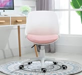 ZJZ Computer Chair Home Office Chair Student Learning Chair Armless Staff Chair Simple and Comfortable Sedentary for Living Room Bedroom Kitchen