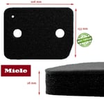 Original Miele Tumble Dryer TMB TMG TML Heat Pump Socket Filter Foam Sponge x 1