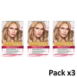 L'OREAL PARIS EXCELLENCE Women's 8.12 Cover Hair Color Cream Pack of 3