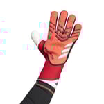 adidas Målvaktshandske Predator Pro Pure Victory - Lucid Red/Svart/Ruby, storlek 9½