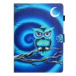 Trolsk Owl with Moon Cover (iPad 10,2)