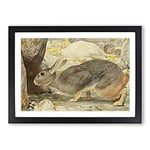 Big Box Art Vintage Karl Ludwig Hartig Red Rock Hare Framed Wall Art Picture Print Ready to Hang, Black A2 (62 x 45 cm)