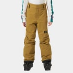 Helly Hansen Junior Legendary Vattentäta Skidbyxor Brun 128/8