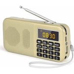 Memkey - Radio Portable, Radio fm avec Batterie Rechargeable de Grande Capacité (3000mAh), Prise en Charge MP3 / SD/USB/AUX,Or