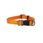 Dogman Valphalsband Iris