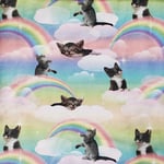 By Ernst Kittens rainbow clouds - Trikåtyg