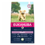 Eukanuba Dog Senior Large Breed Lamb & Rice
