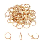 UNICRAFTALE 50pcs Lever Back Earrings Stainless Steel Leverback Earring Hoop Earring with loop Golden Leverback Earwire Findings for DIY Jewelry Making 14.5mm Long