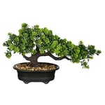 BONSAI 