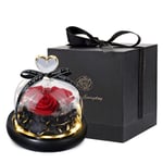 Eternal Rose - Preserved Flowers Handmade Gift Box Rose in a Glass Dome with LED Light, Birthday Presents for Her Mum Girlfriend Wife Grandma on Valentine's Day Mothers Anniversary Christmas 3 Roses…