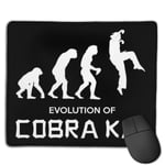 Evolution of Cobra Kai Customized Designs Non-Slip Rubber Base Gaming Mouse Pads for Mac,22cm×18cm， Pc, Computers. Ideal for Working Or Game