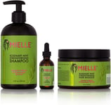 Mielle/Rosemary Mint Strengthening/Shampoo/Hair Masque/Scalp & Hair Strengthenin