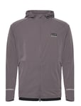 EA7 Sweatshirt Brun