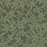 Lövskog - 20125