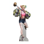 STAR CUTOUTS SC1521 Harley Quinn Lifesze Cardboard Cutout/Standee/Stand Up Swinging Mallet Margot Robbie Birds of Prey Height 183cm Width 83cm, Solid, Regular