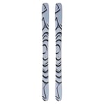 Salomon QST 100 Cosmic Sky 25/26 188cm