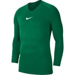 Nike Treningsgenser Park 1STLYR Dry - Grønn/Hvit Barn Treningsoverdel unisex