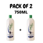 2 X SOF N FREE CURL ACTIVATOR HAIR LOTION 750ML WITH VITAMIN E PANTHENOL FREE UK