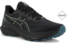Asics GT-2000 12 Gore-Tex M Chaussures homme