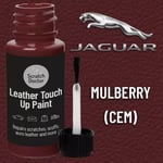 JAGUAR MULBERRY Leather Touch up Car Seat Repair Paint