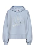 Icon Relaxed Icon Hoody Tops Sweat-shirts & Hoodies Hoodies Blue Tommy Hilfiger