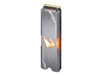 AORUS RGB - SSD - 256 Go - interne - M.2 2280 - PCIe 3.0 x4 (NVMe)