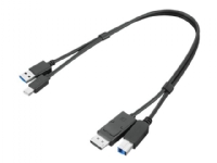 Lenovo Dual Head - Skärm/USB-kabelsats - USB typ A, DisplayPort (hane) till USB Type B, Mini DisplayPort (hane) - USB 3.0 - 43 cm - svart - för ThinkCentre M75t Gen 2 ThinkStation P340 P350