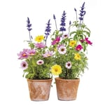 Sticker Fenêtre, Autocollants Décoratifs, 31cm x 31cm, Printemps